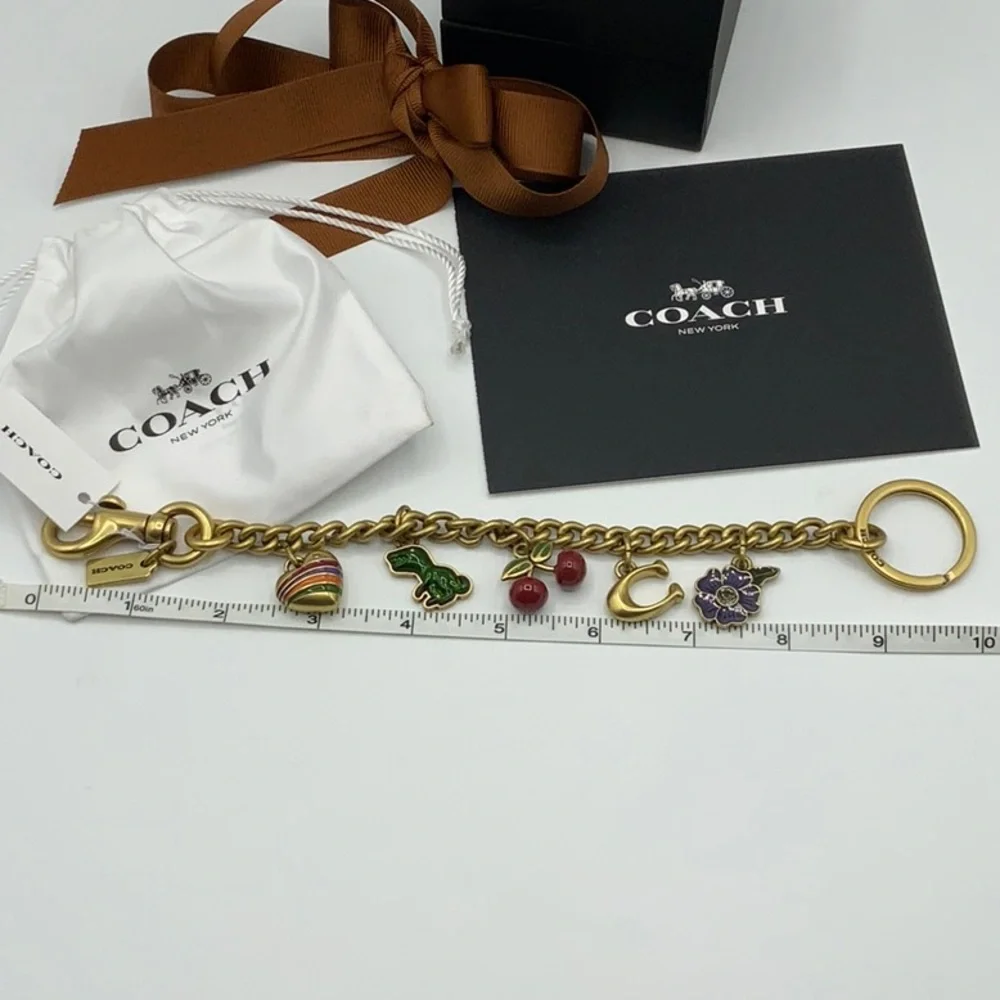 Coach bag extender chain with charms